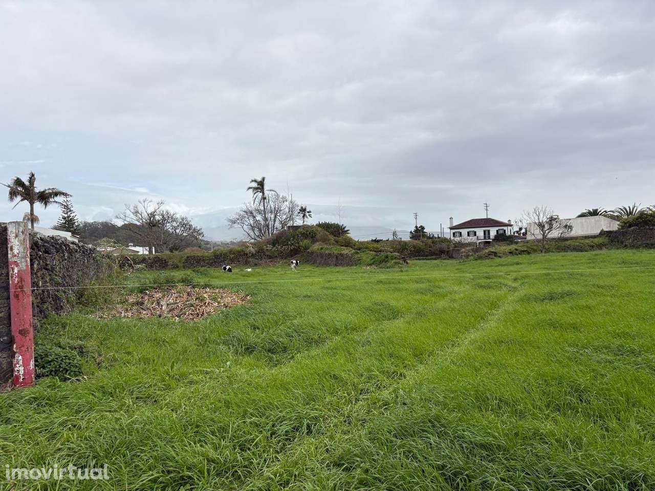 Terreno rústico, em zona urbana, com possibilidade de loteamento em Fa - Grande imagem: 3/10