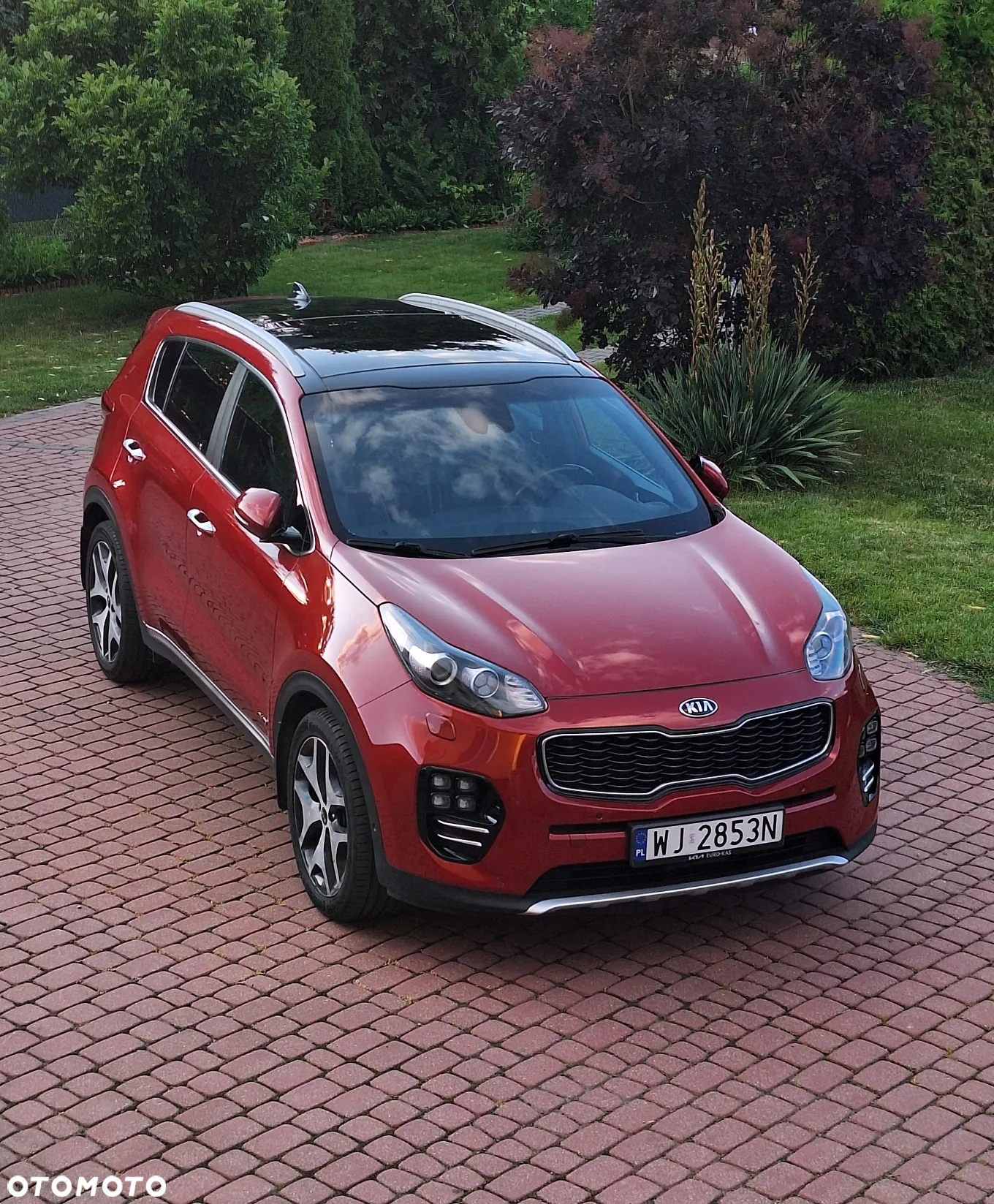 Kia Sportage 1.6 T-GDI GT Line 4WD DCT - 6