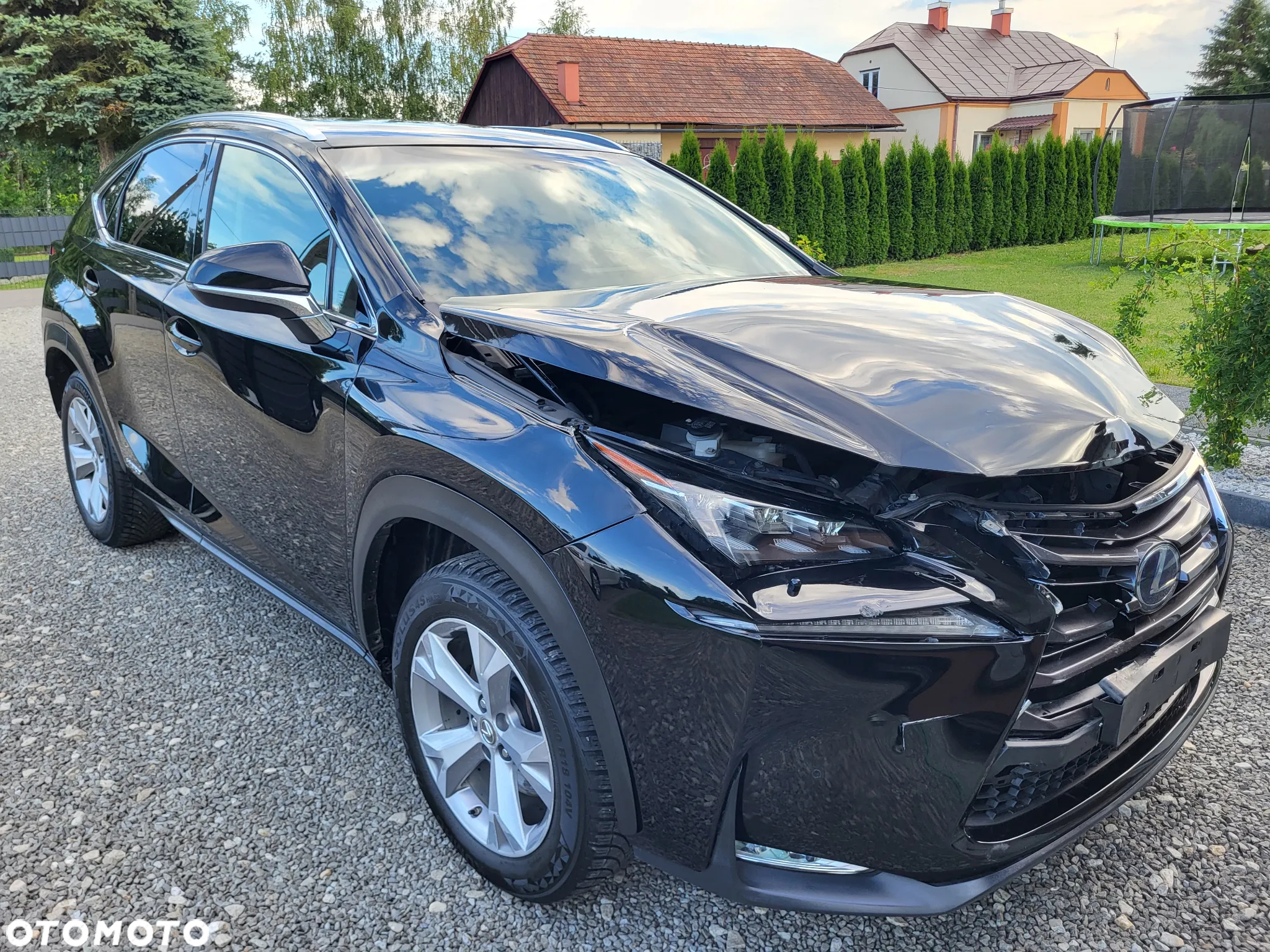 Lexus NX 300h Business Edition - 12