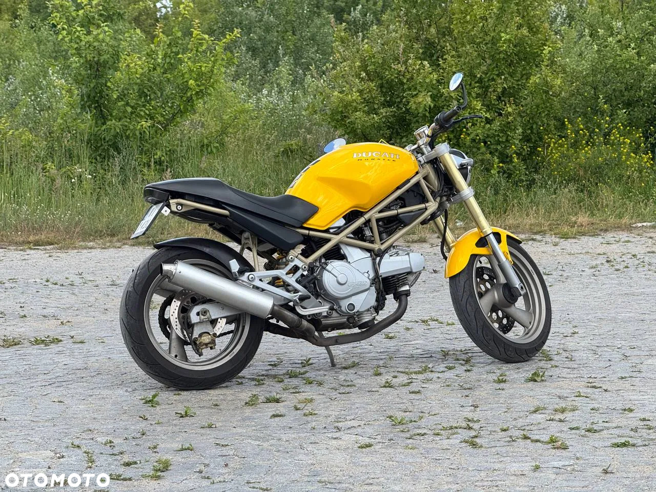 Ducati Monster - 14