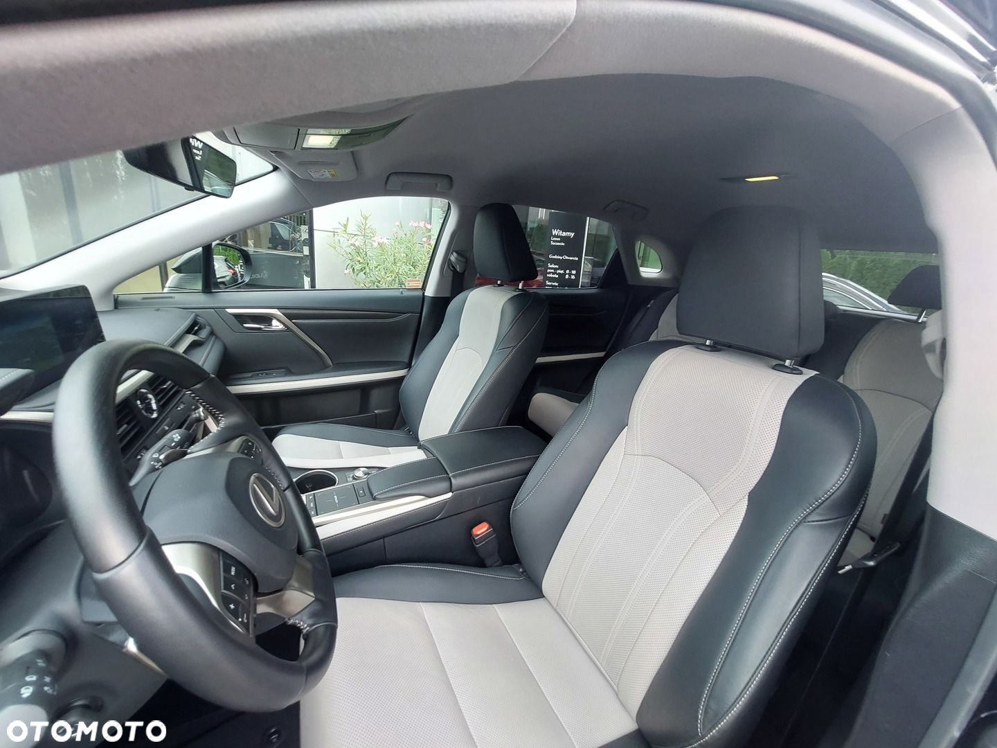 Lexus RX 450h F-Impression - 8