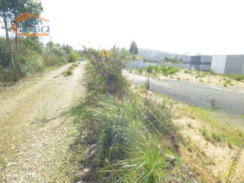 Terreno  Nogueira da Regedoura, plano Industrial para Construção de... - Grande imagem: 5/16