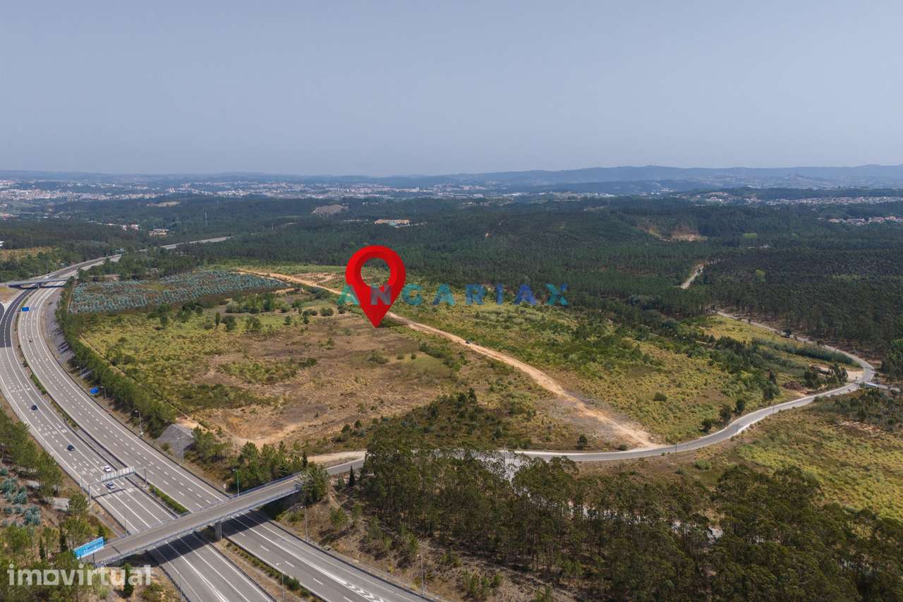 ANG380 - Terreno 42.5ha para Venda em Barosa - Grande imagem: 5/35