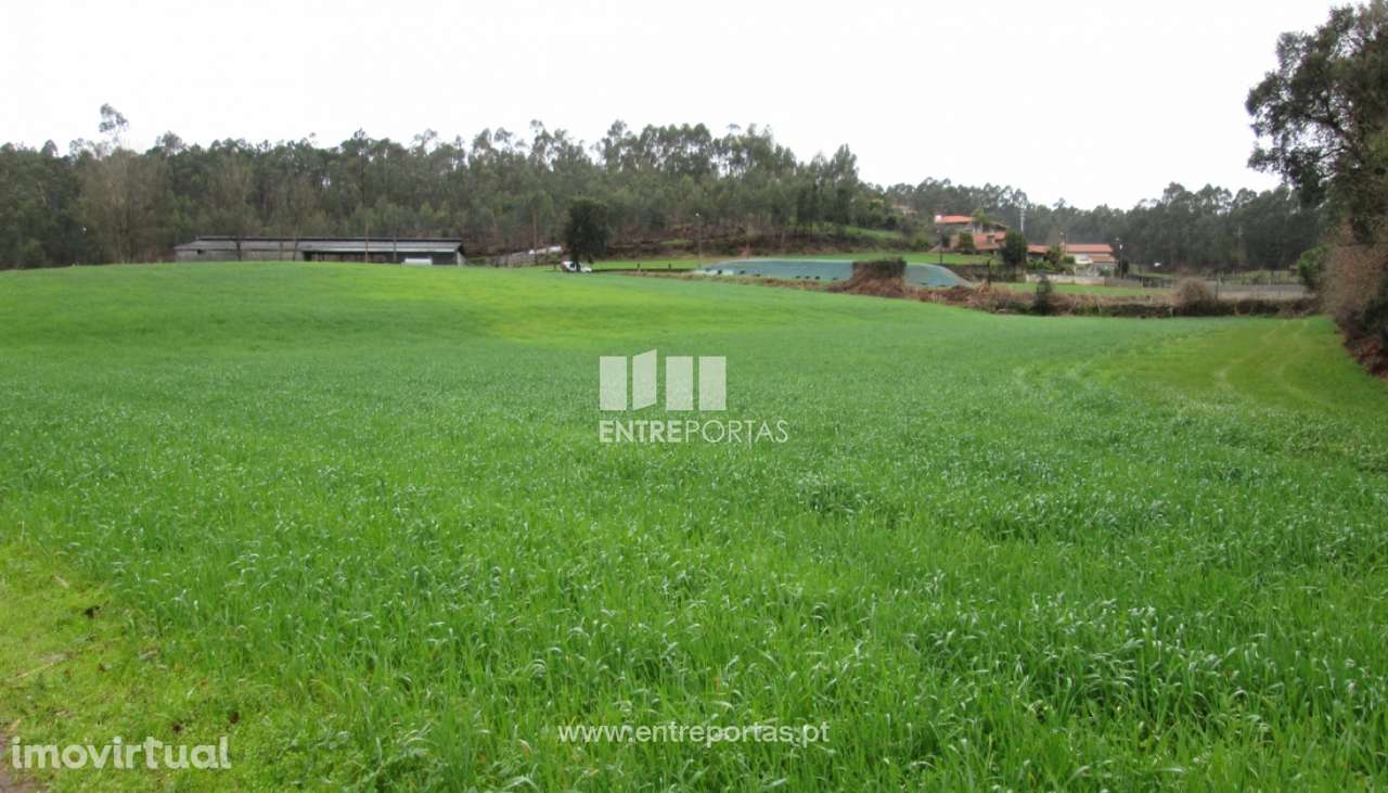 Venda de Terreno, Vilarinho das Cambas, Vila Nova de Famalicão - Grande imagem: 2/12