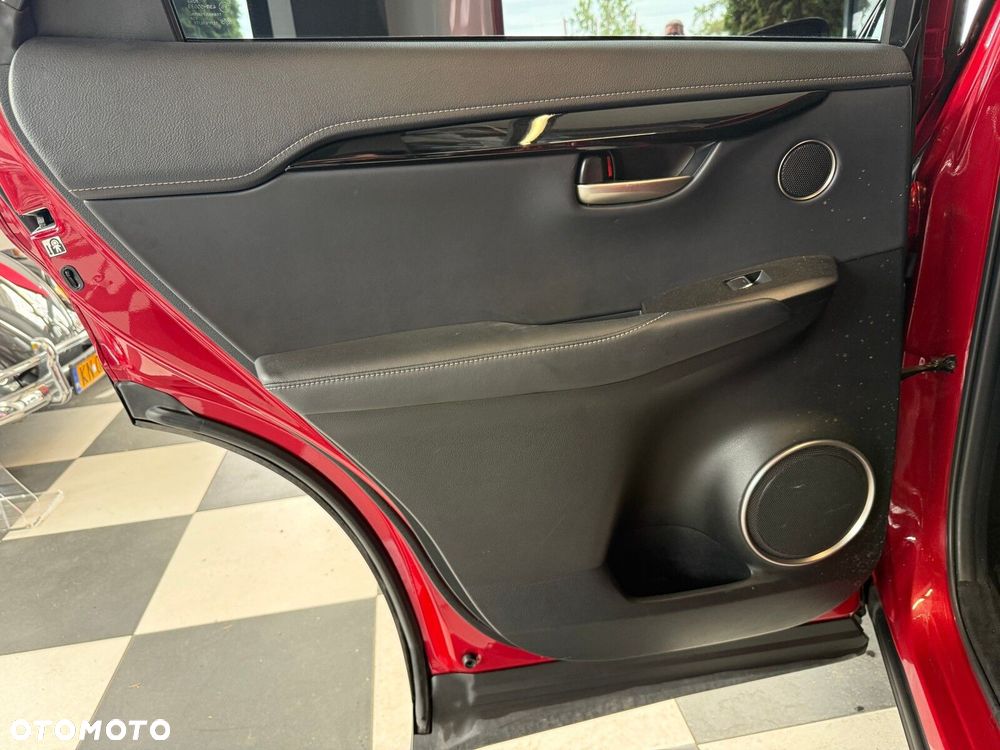 Lexus NX - 10