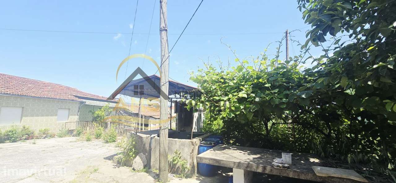 QUINTA A DOIS PAÇOS DA CIDADE COM 2,5ha - Grande imagem: 4/25