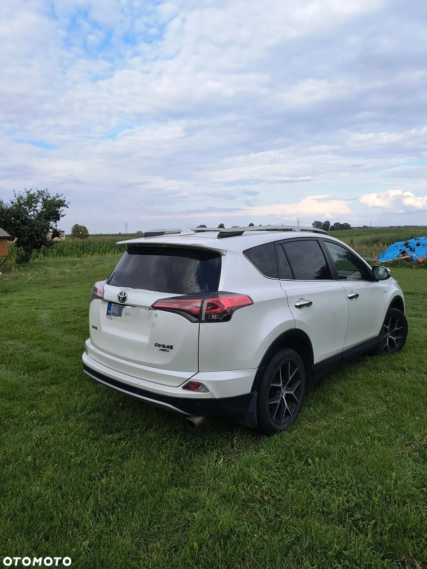 Toyota RAV4 2.0 Prestige MS - 1