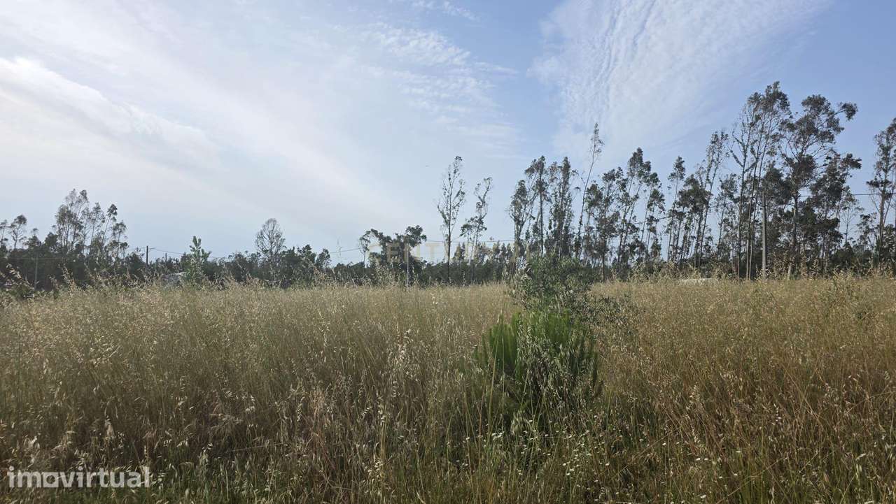 Terreno Industrial com Grande Potencial em Garcia, Marinha Grande | 8 - Grande imagem: 5/15
