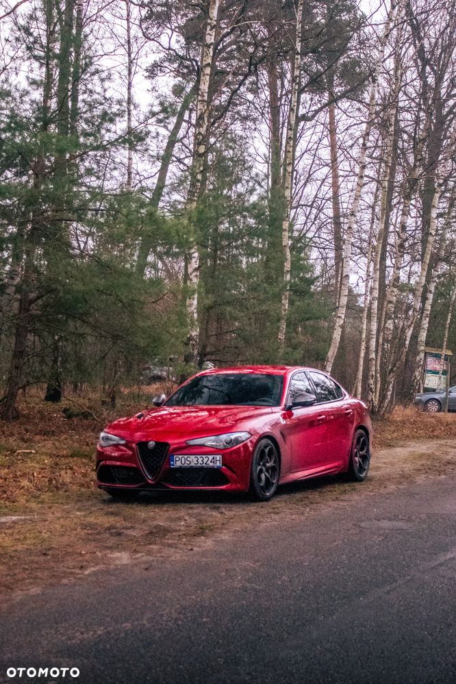 Alfa Romeo Giulia 2.9 Bi Turbo V6 Quadrifoglio - 13