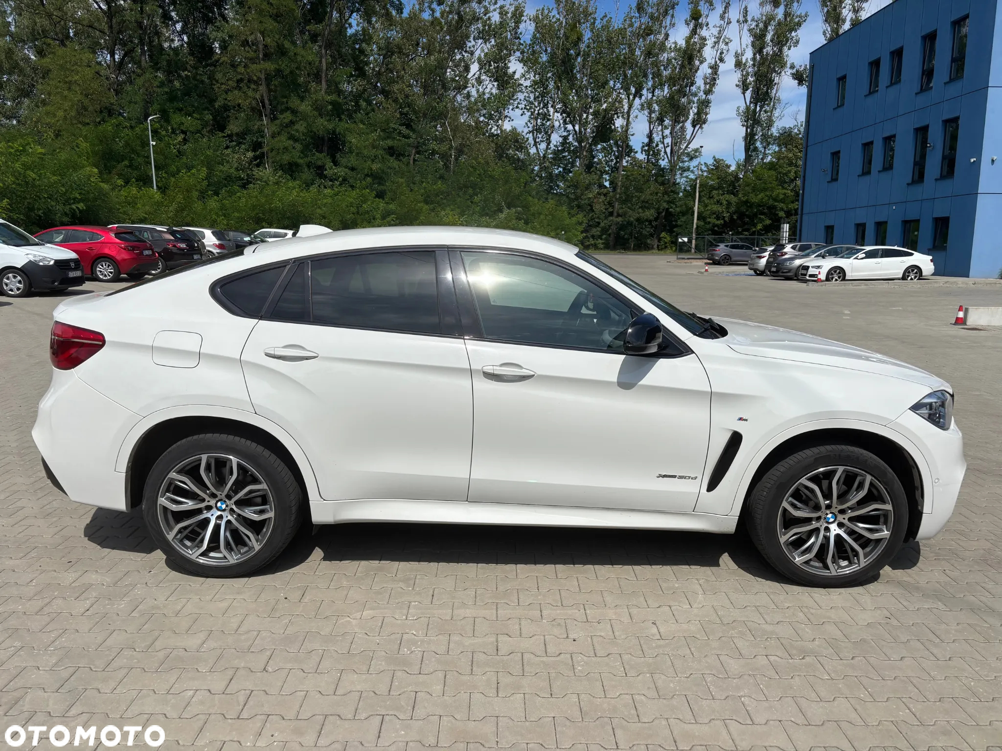 BMW X6 xDrive30d - 3