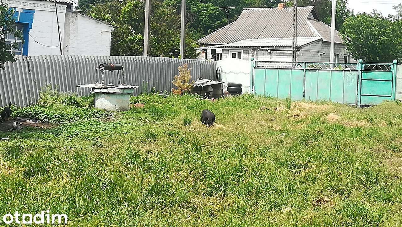 Цегляний будинок з садом, городом та господарськими спорудами - Повне зображення: 3/8