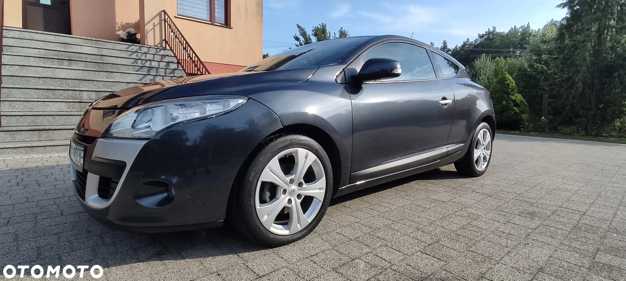 Renault Megane - 25