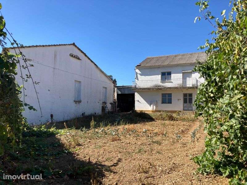 venda MOradia independente e outros lotes - Grande imagem: 4/12