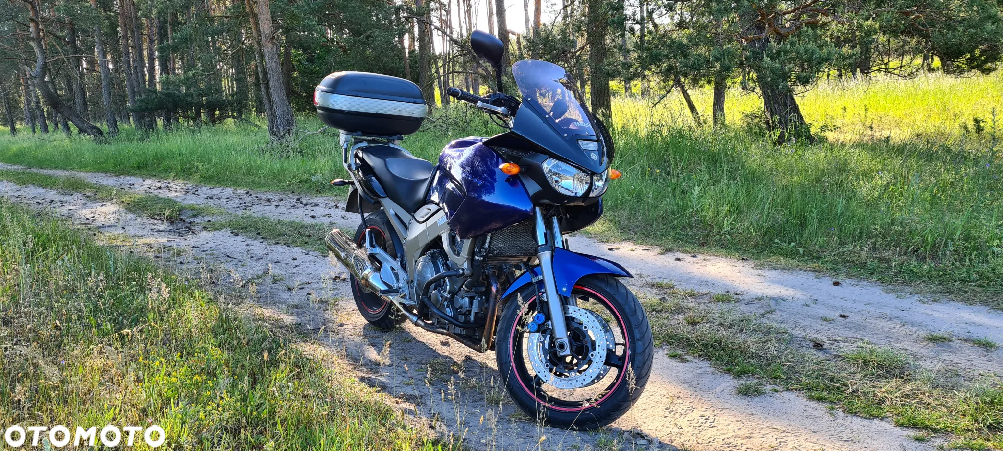Yamaha TDM - 2