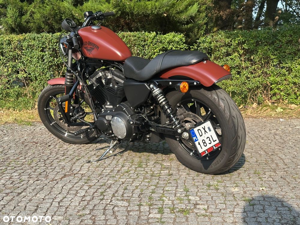 Harley-Davidson Sportster Iron 883 - 1