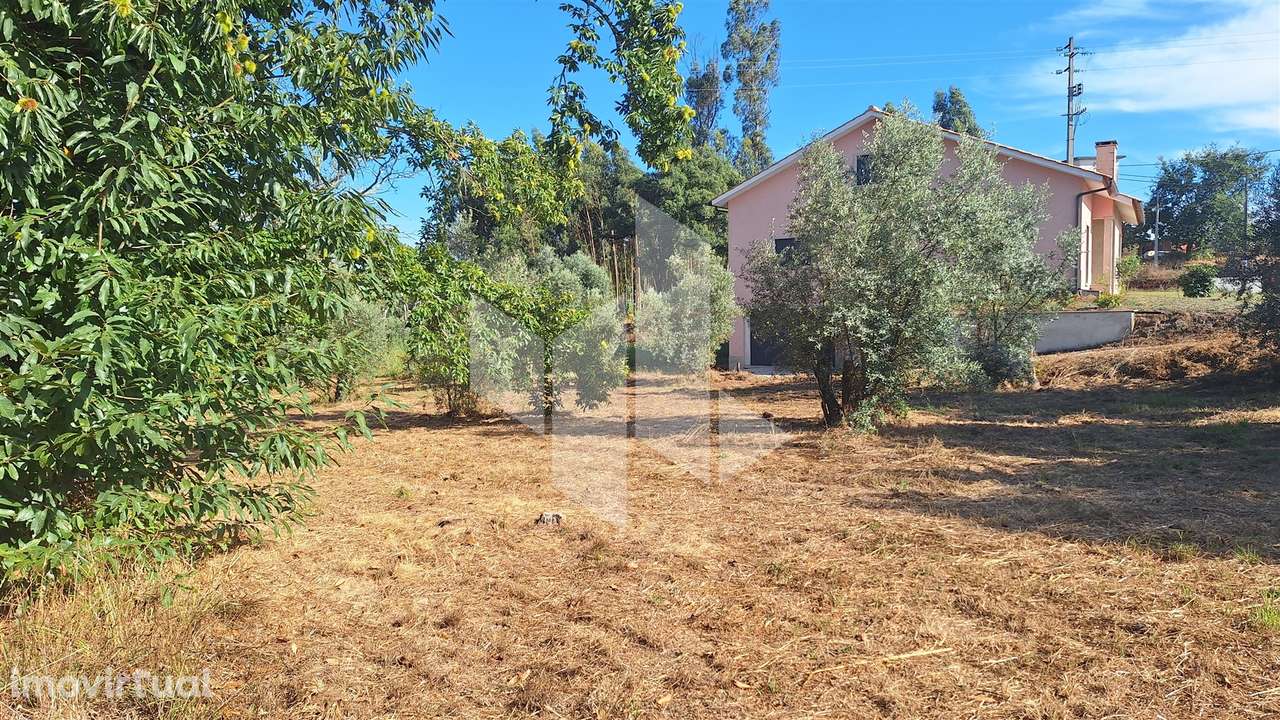 Moradia Isolada T0 Venda em Dardavaz,Tondela - Grande imagem: 3/7