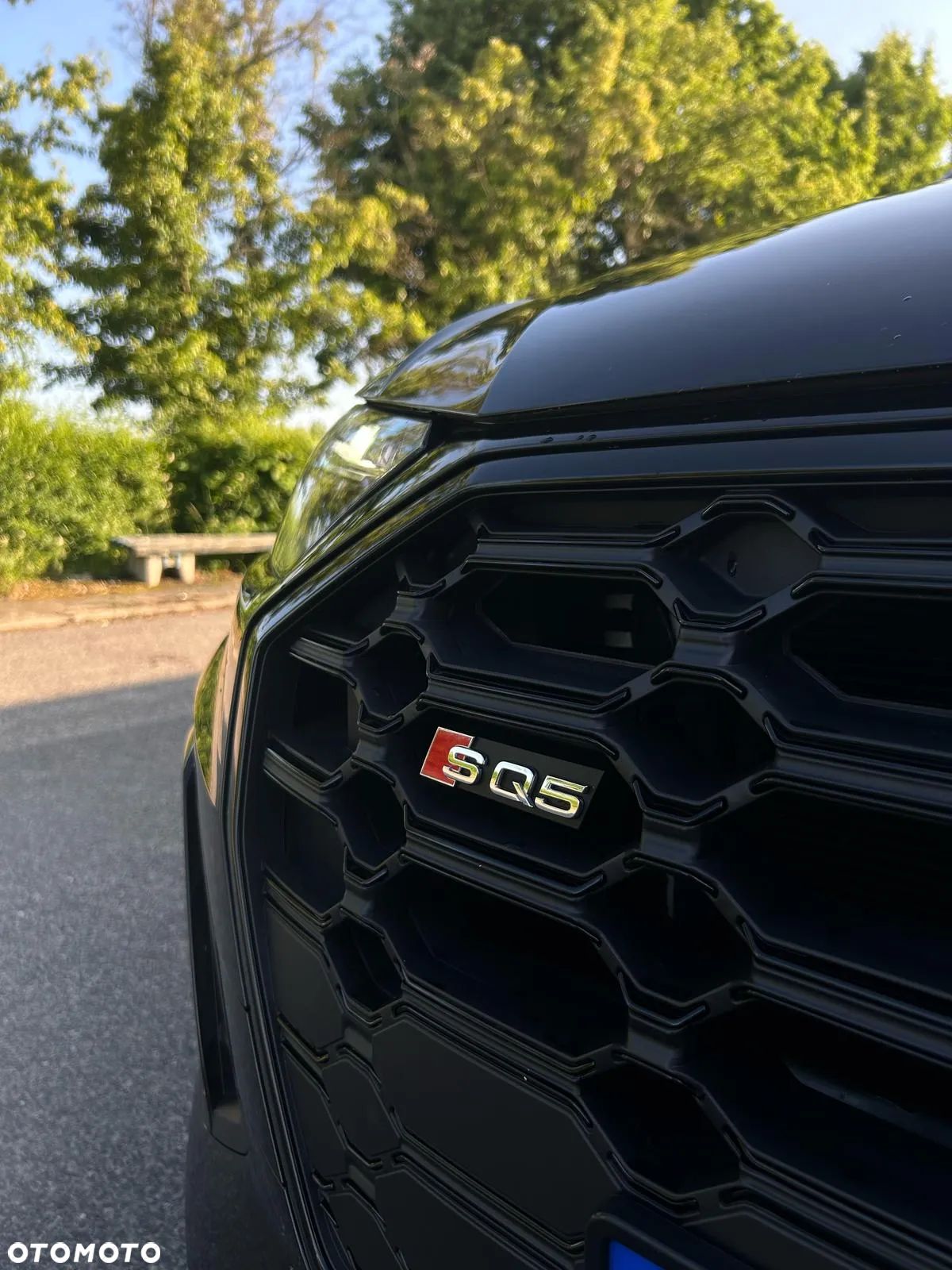 Audi SQ5 3.0 TFSI quattro tiptronic - 1