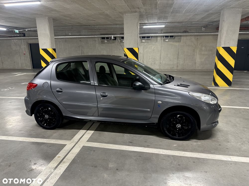Peugeot 206 plus - 2