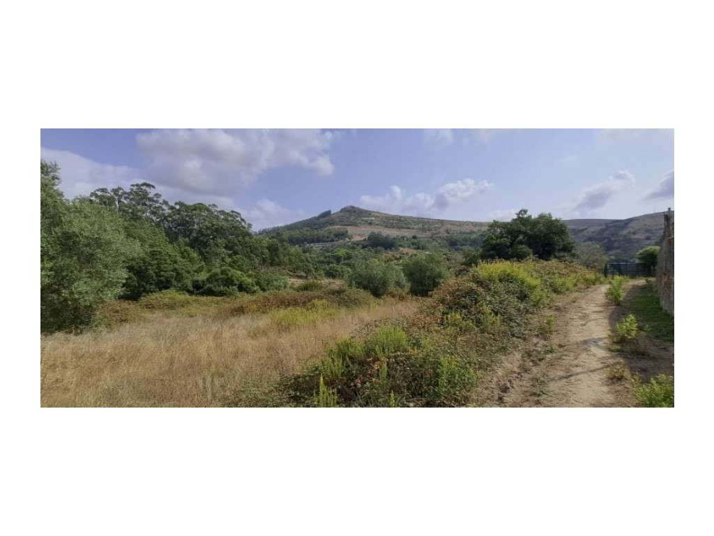 Terreno para Venda em Loures - Grande imagem: 2/11