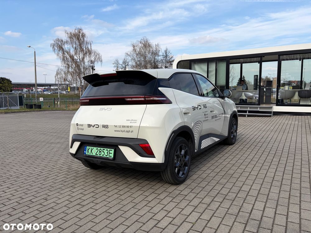 BYD Dolphin Surf - 18