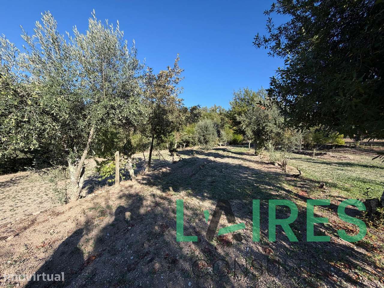Terreno, 28 000 m², Real - Grande imagem: 5/11