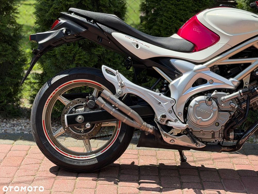 Suzuki Gladius - 9