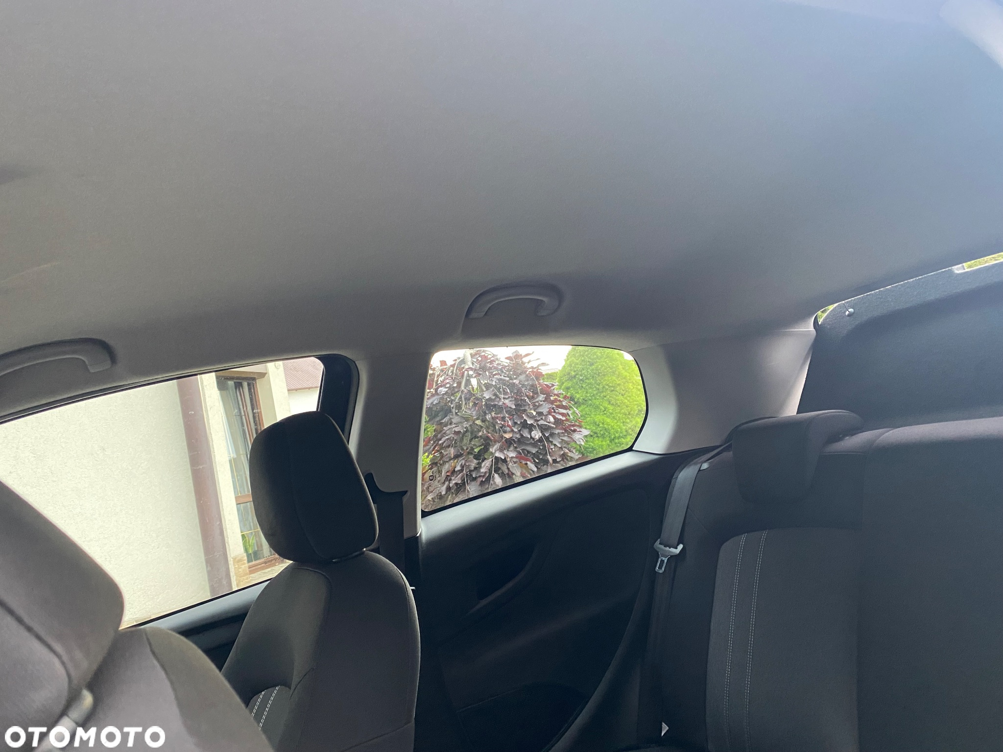 Fiat Punto - 19