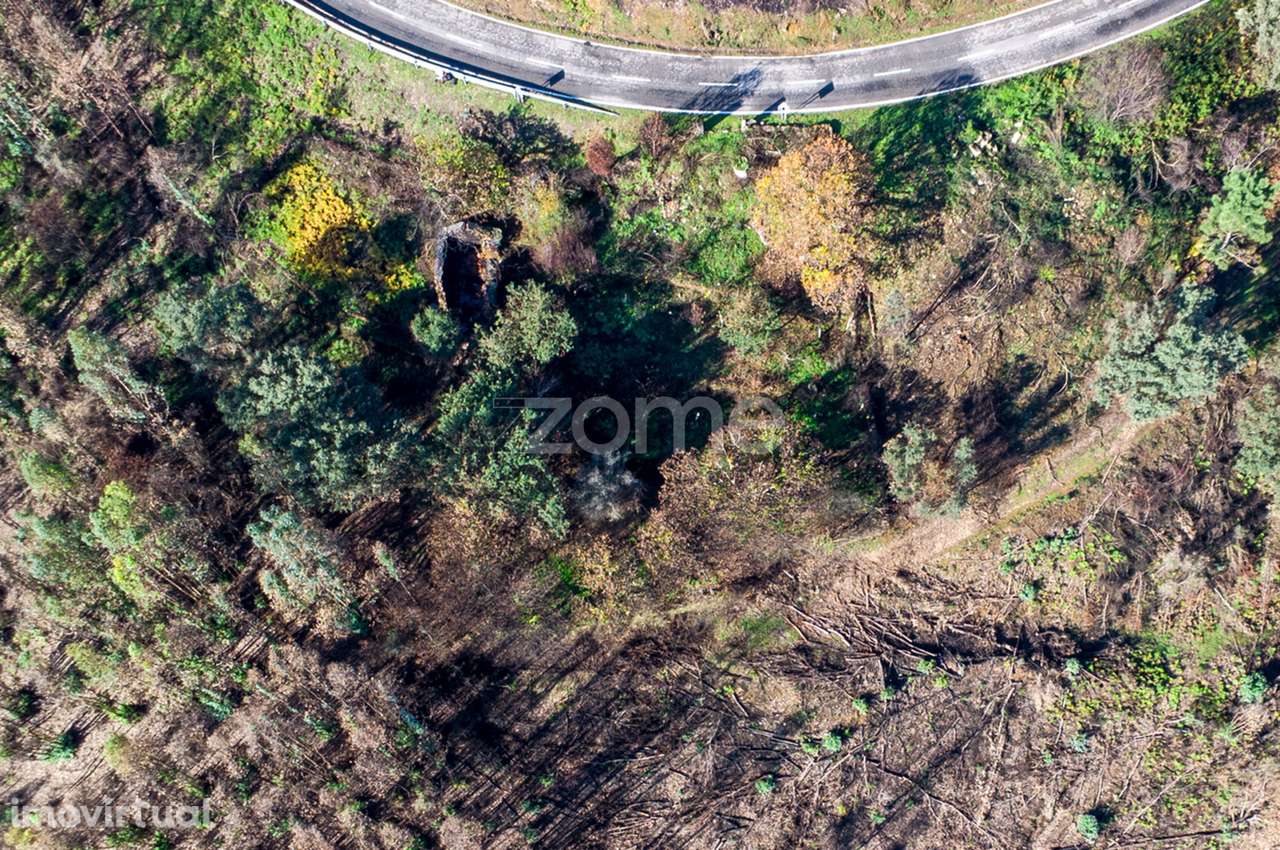 Quintinha para recuperar próxima dos Passadiços do Paiva - Nesperei... - Grande imagem: 3/13