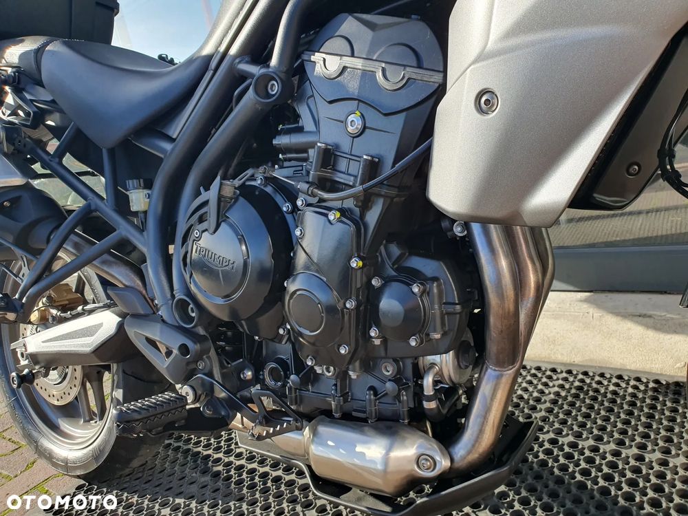 Triumph Tiger - 9