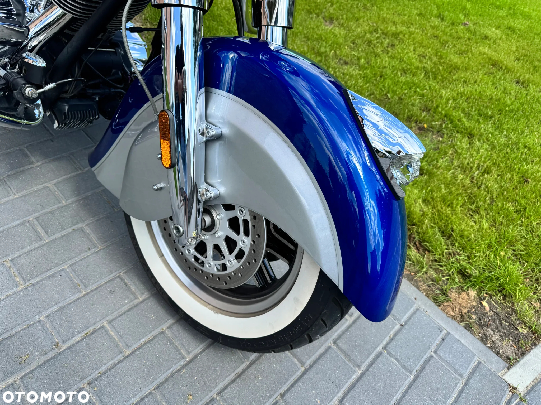 Indian Springfield - 17