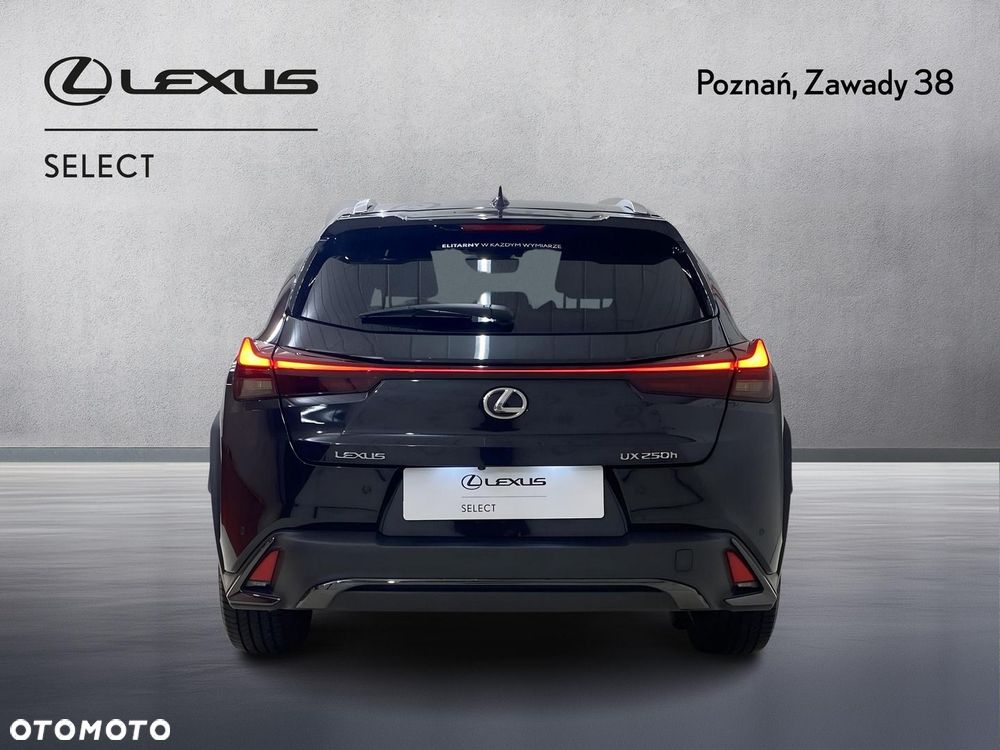 Lexus UX 250h GPF F Sport Design 2WD - 7