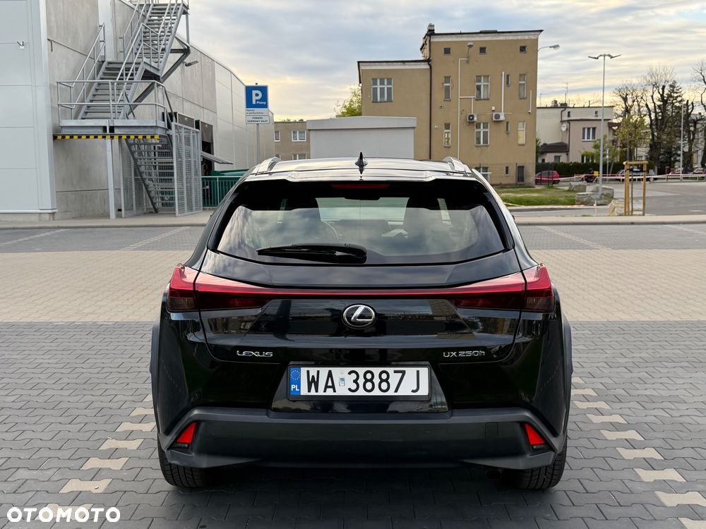 Lexus UX 250h Business Edition - 10