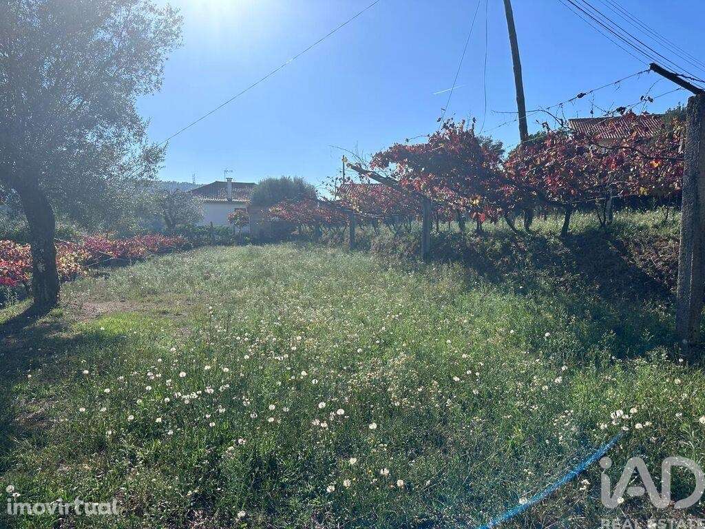 Terreno Agrícola em Fornelos e Queijada - Grande imagem: 2/10