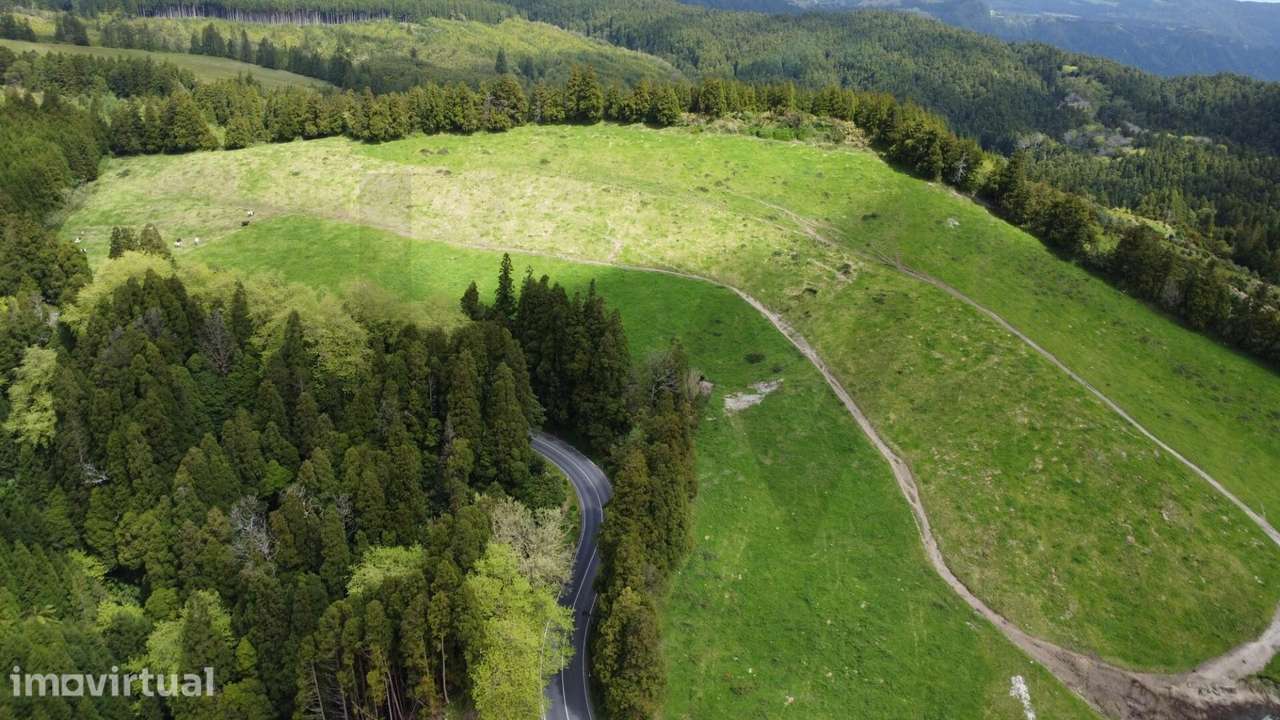 Terreno Rústico com 6,8 Hectares e Rendimento Imediato – Ponta Garça - Grande imagem: 5/9