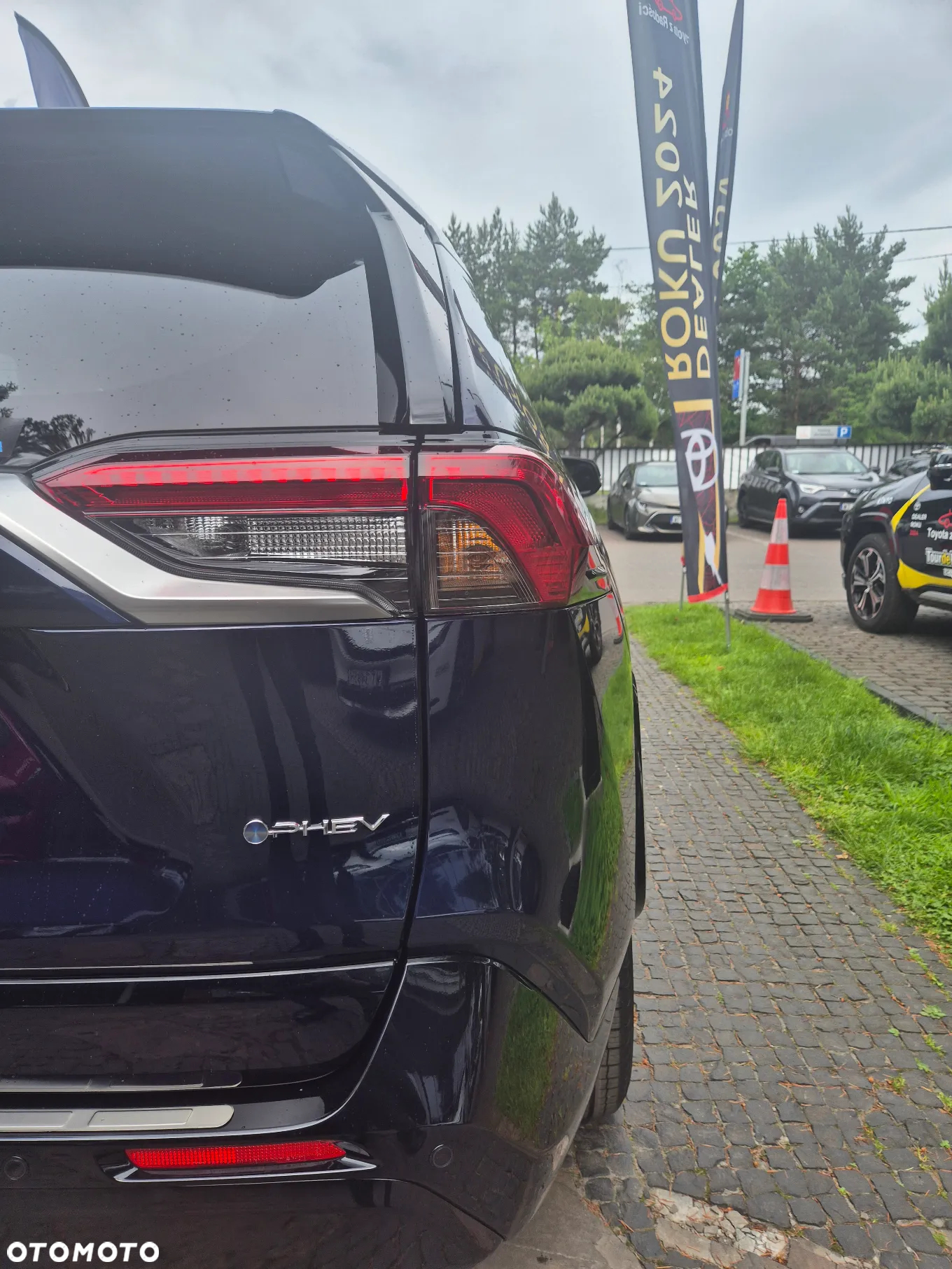 Toyota RAV4 2.5 Plug-In Hybrid Selection 4x4 - 7