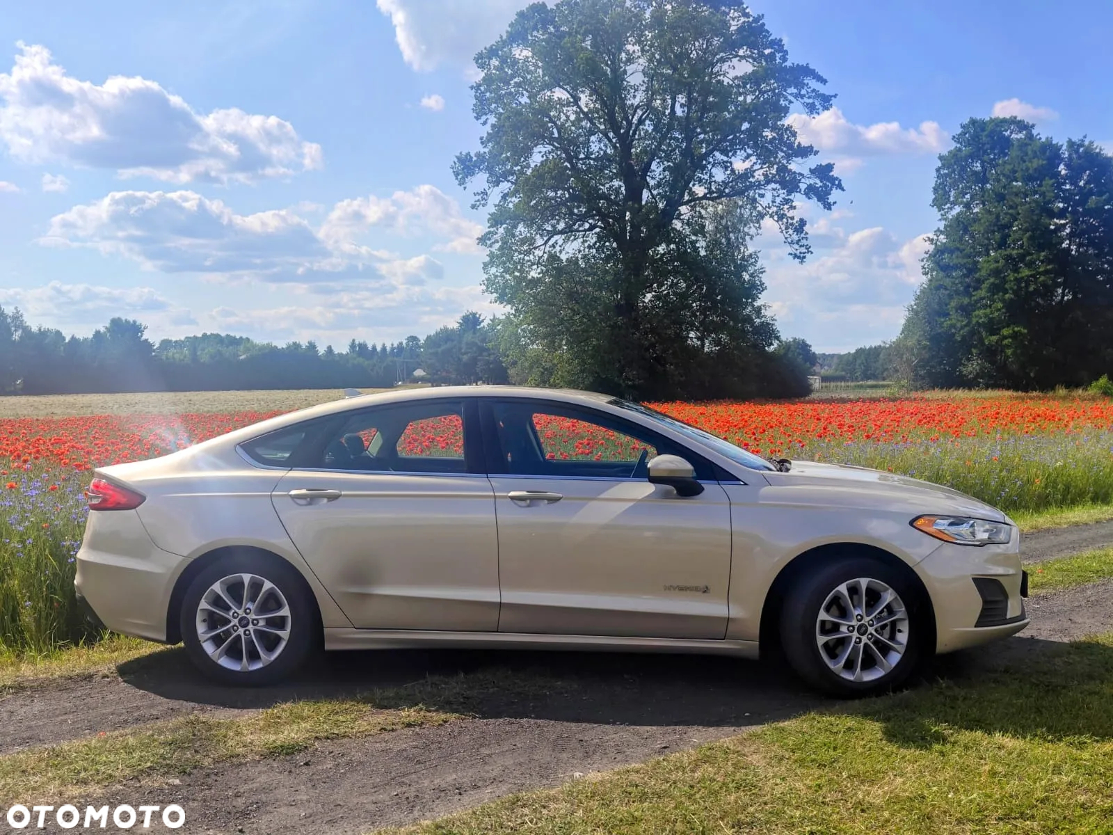 Ford Mondeo - 14