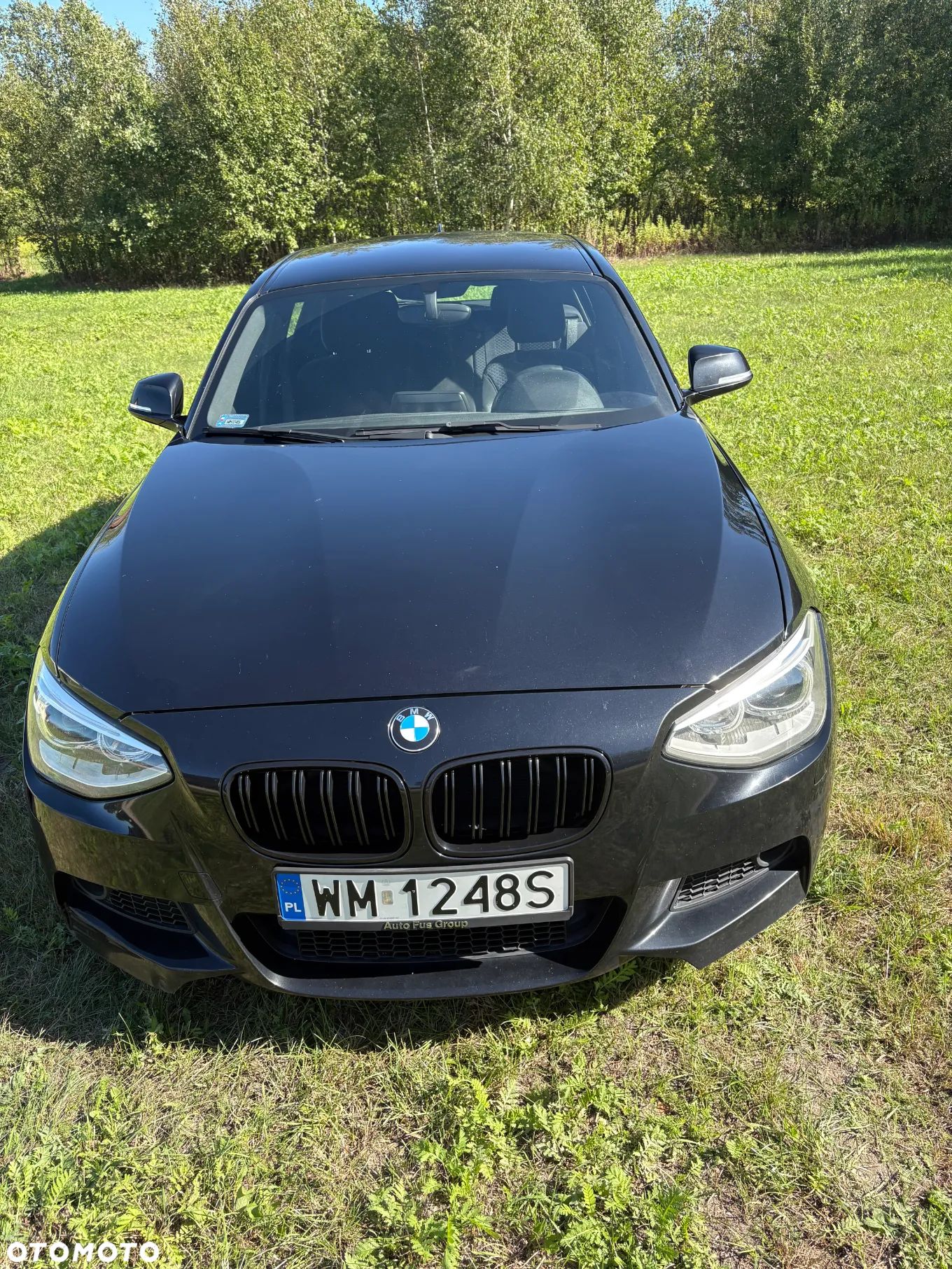 BMW Seria 1 116i - 1