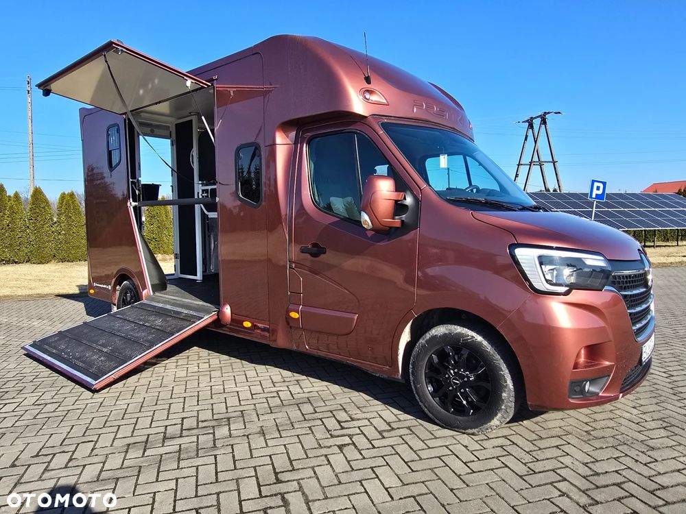 Renault Master Koniowóz - 2