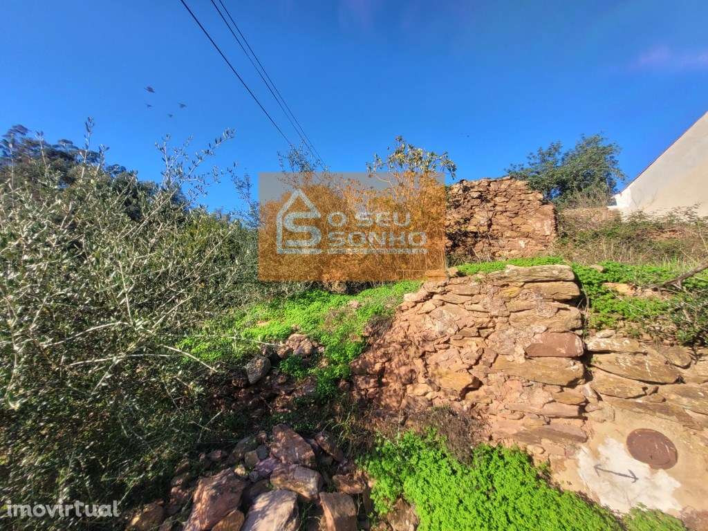 Terreno com Ruína - Grande imagem: 2/8