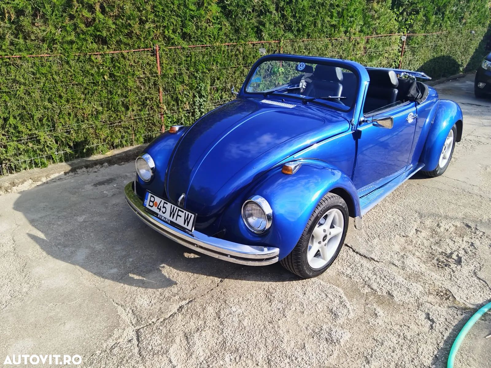 Volkswagen Beetle - 1