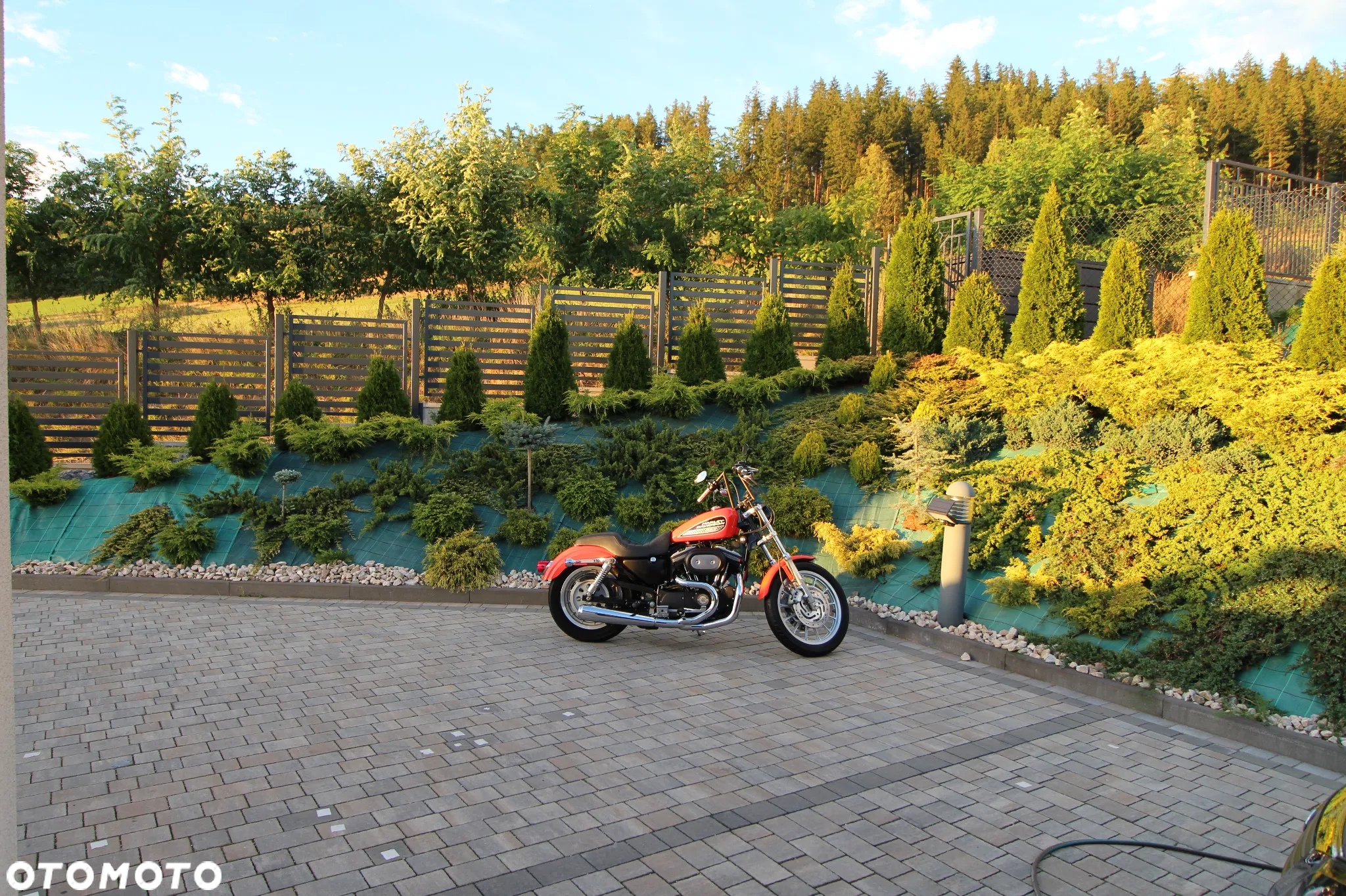Harley-Davidson Sportster - 12