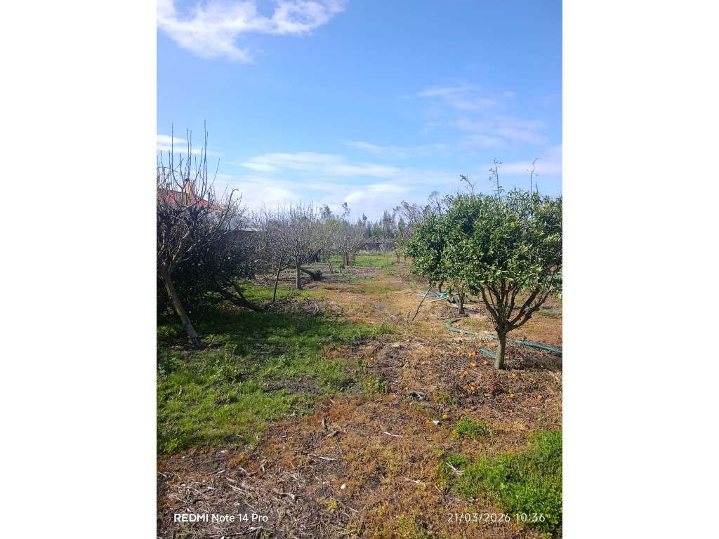 Terreno Urbano - Grande imagem: 4/9