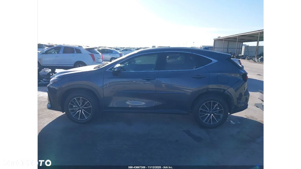 Lexus NX - 7