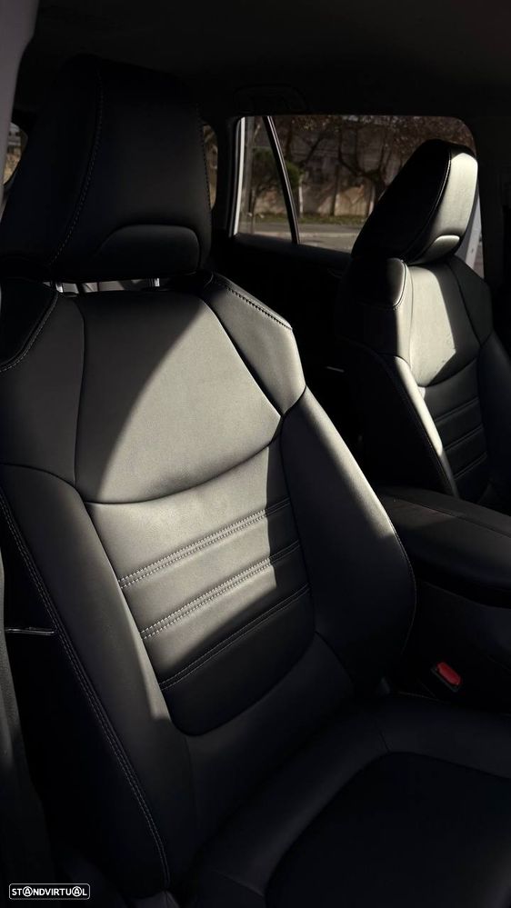 Toyota RAV4 2.5 HDF Lounge AWD-i - 14