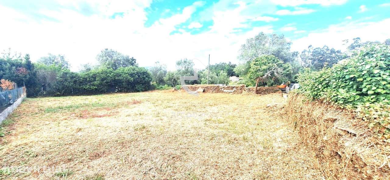 Terreno p/construção moradia -  Vila Mou - Viana do Castelo - Grande imagem: 4/11