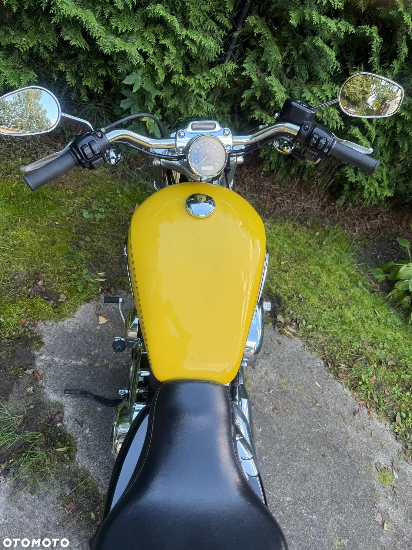 Harley-Davidson Sportster Custom 1200C - 9