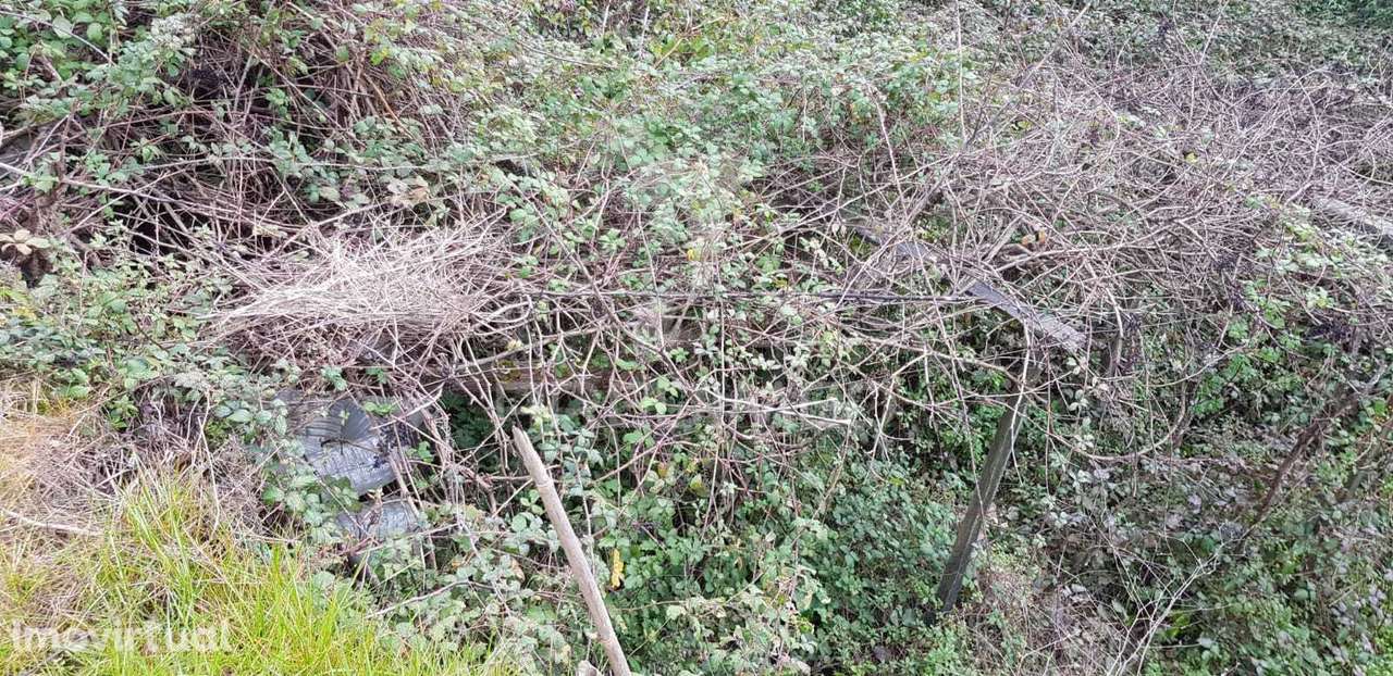 Terreno Rústico em Moura Morta - Grande imagem: 2/3