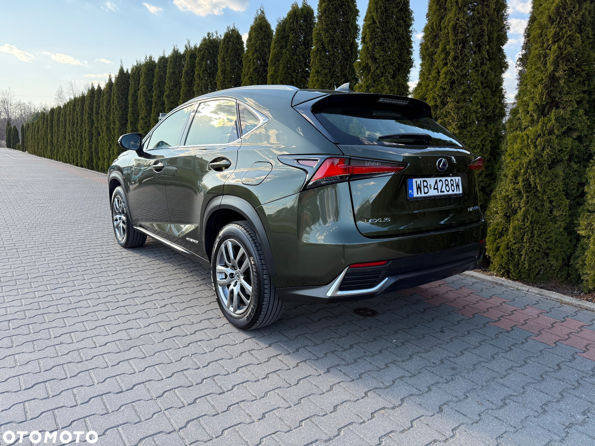 Lexus NX - 17