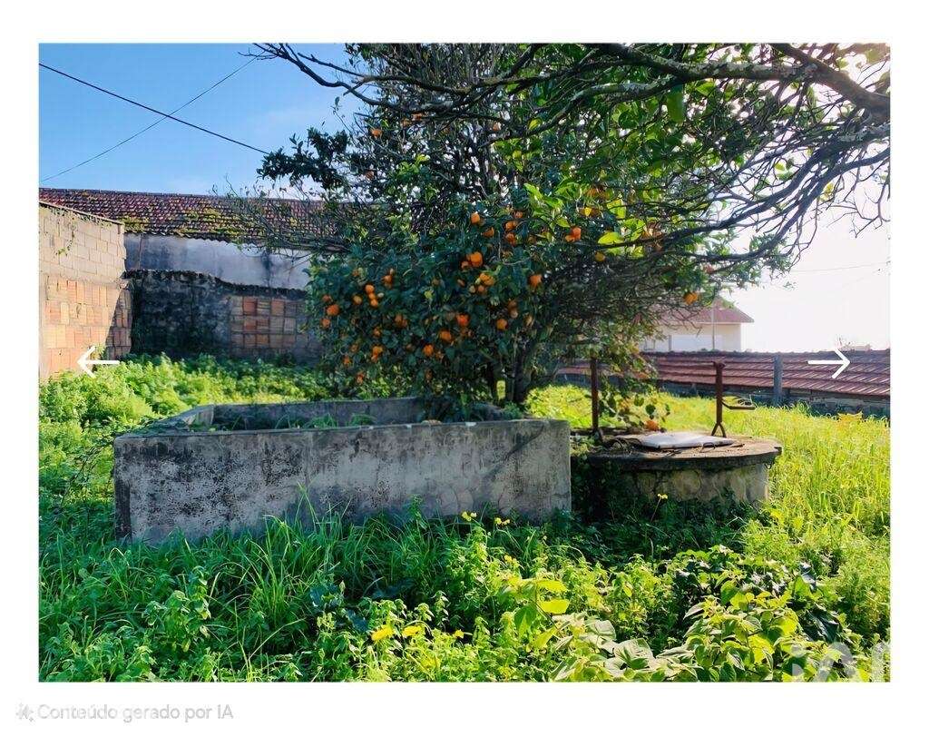 Casa / Villa T5 em Belinho e Mar de 220,00 m2 - Grande imagem: 3/5