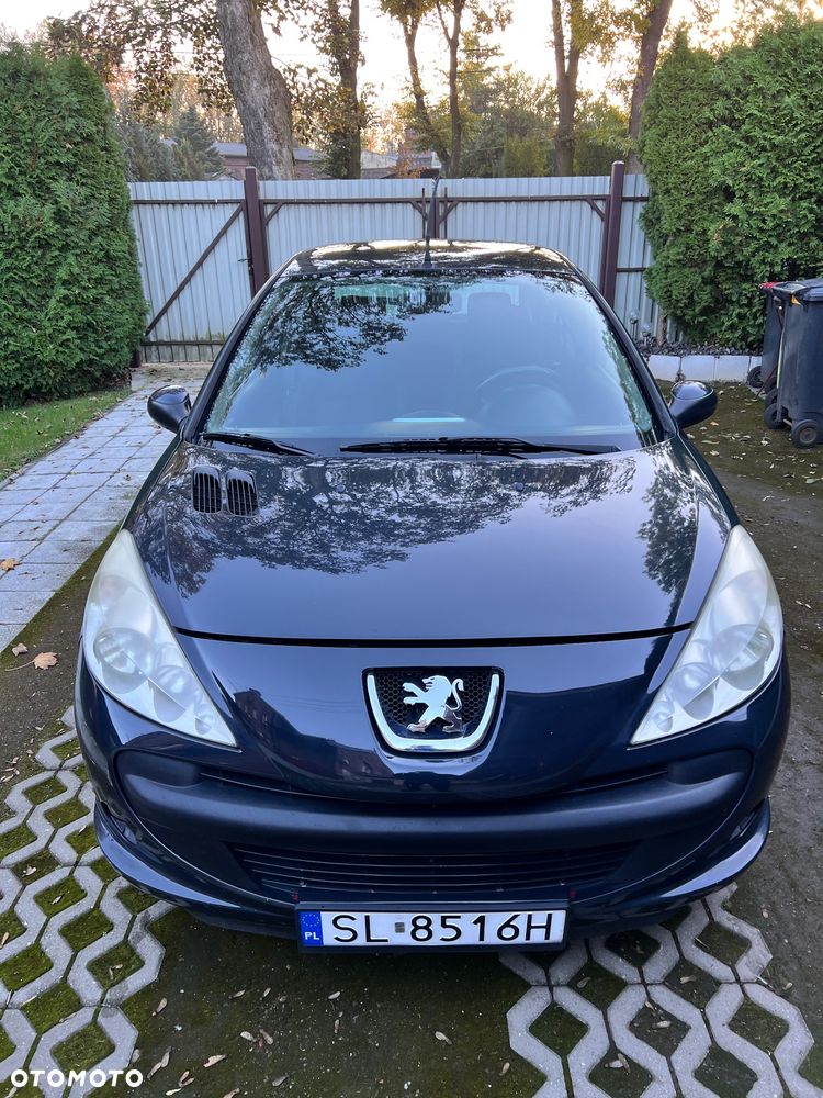 Peugeot 206 - 9